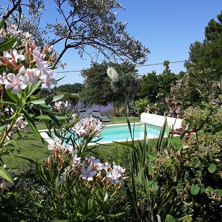 Parfums De Provence "Le Lavandin" Piscine Chauffee & Spa 维逊拉洛梅尼 外观 照片