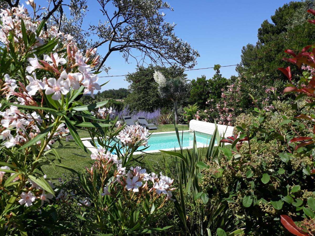 Parfums De Provence "Le Lavandin" Piscine Chauffee & Spa 维逊拉洛梅尼 外观 照片